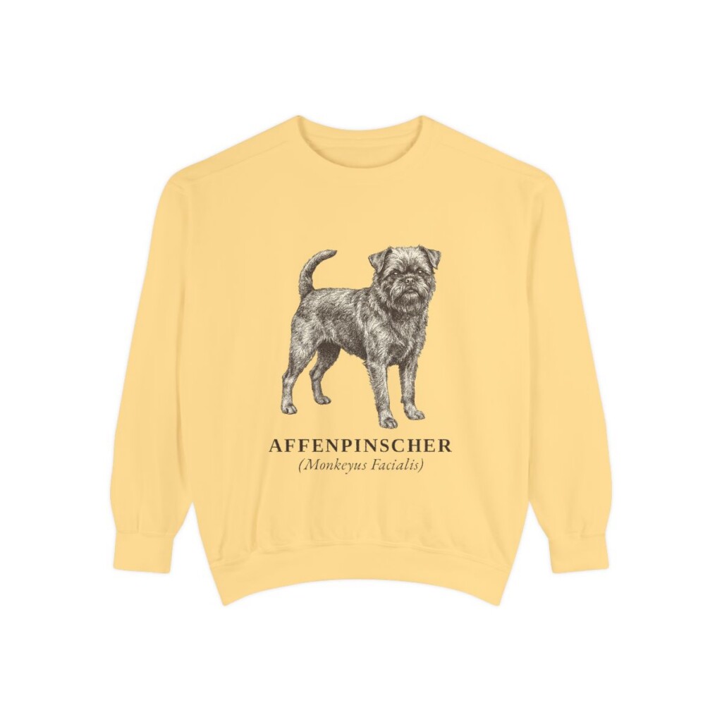 Affenpinscher Latin Sweatshirt, Butter, front view