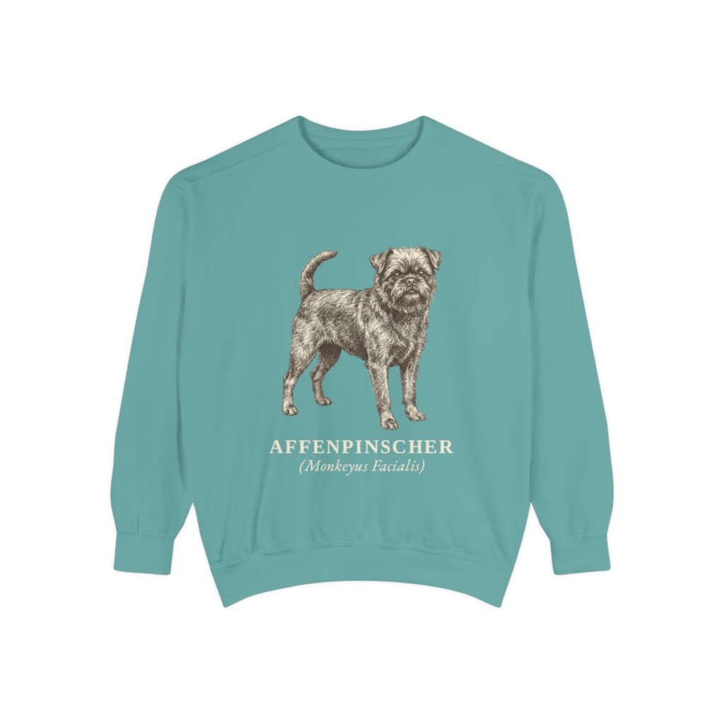 Affenpinscher Latin Sweatshirt, Seafoam, front view