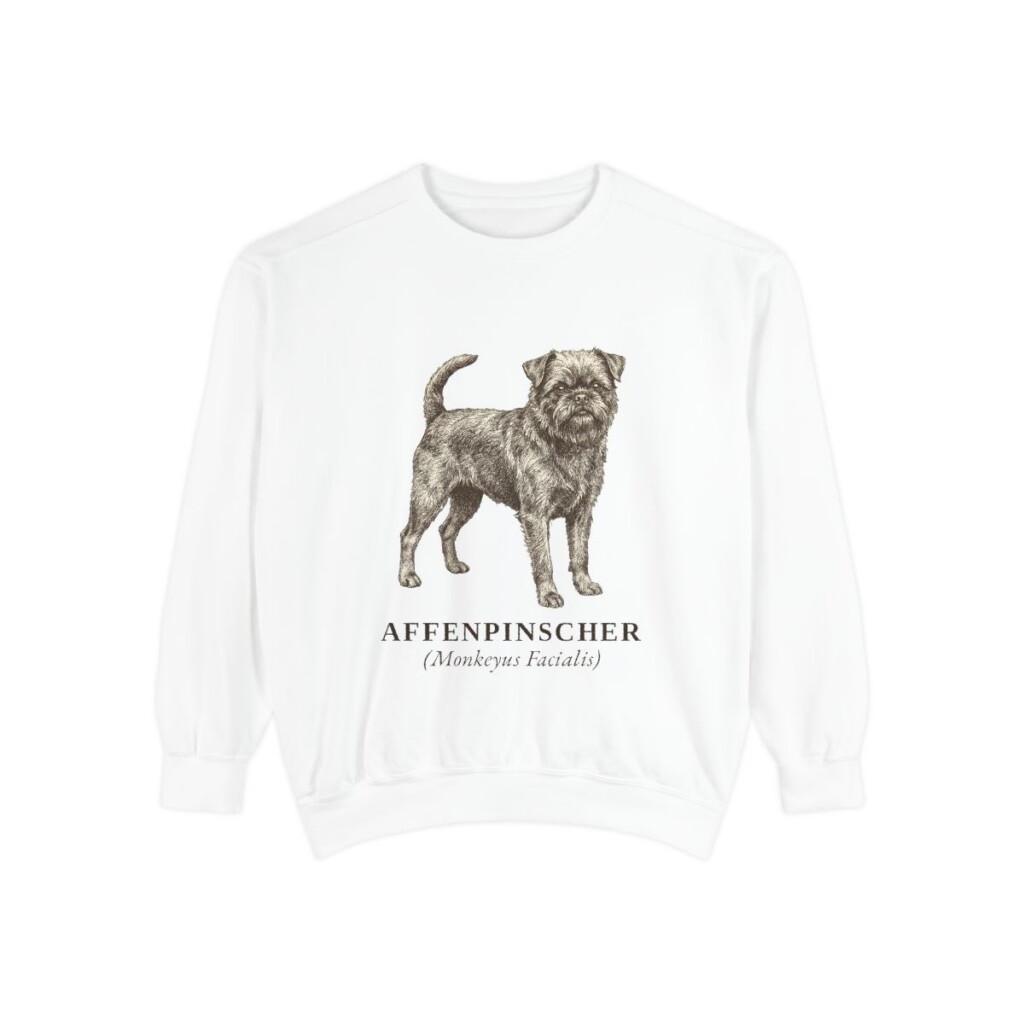 Affenpinscher Latin Sweatshirt, White, front view