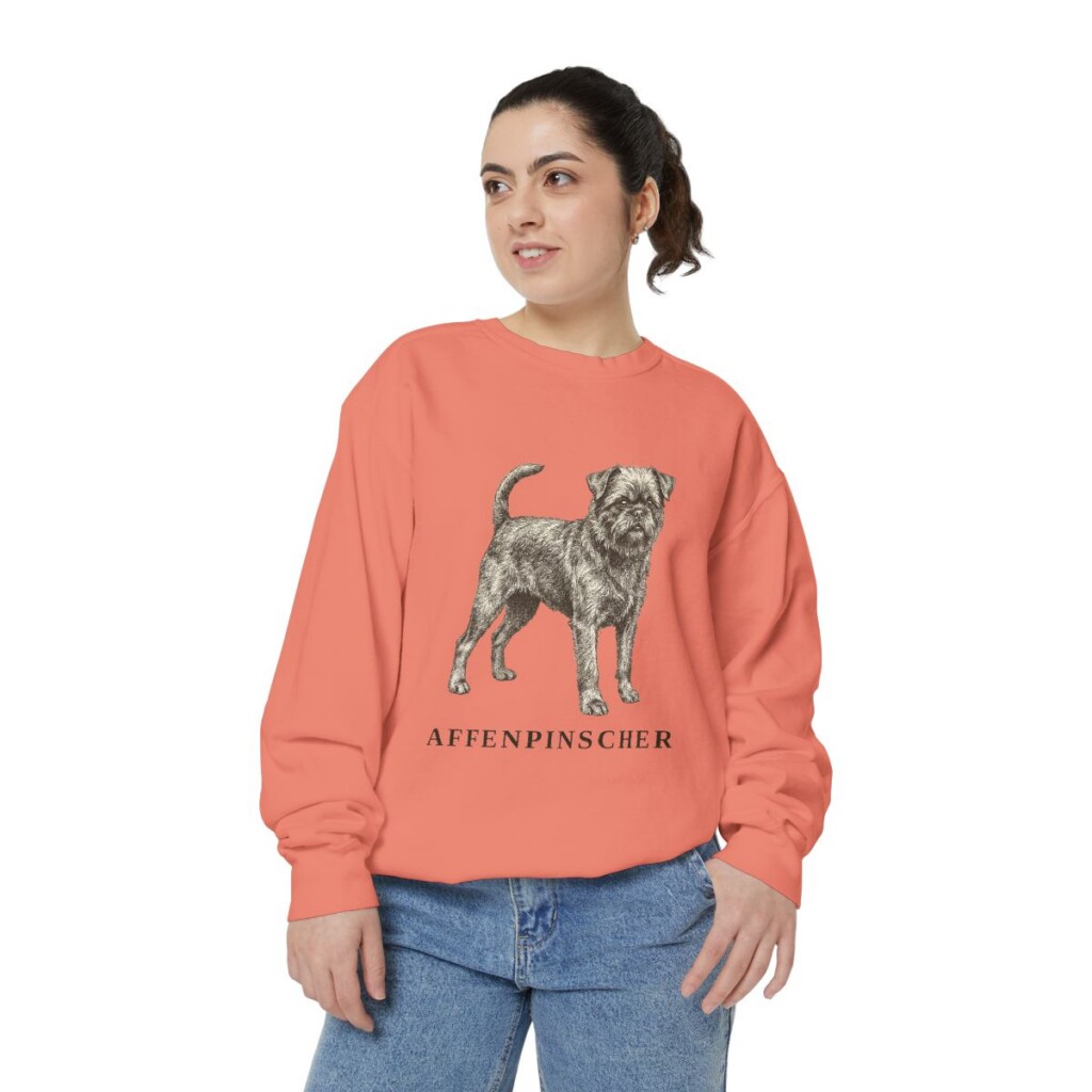Affenpinscher Sweatshirt, Terracotta, person 2 front