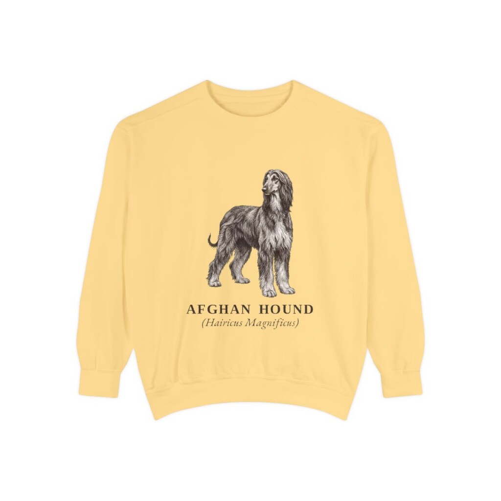 Afghan Hound Latin Sweatshirt, Butter, front view