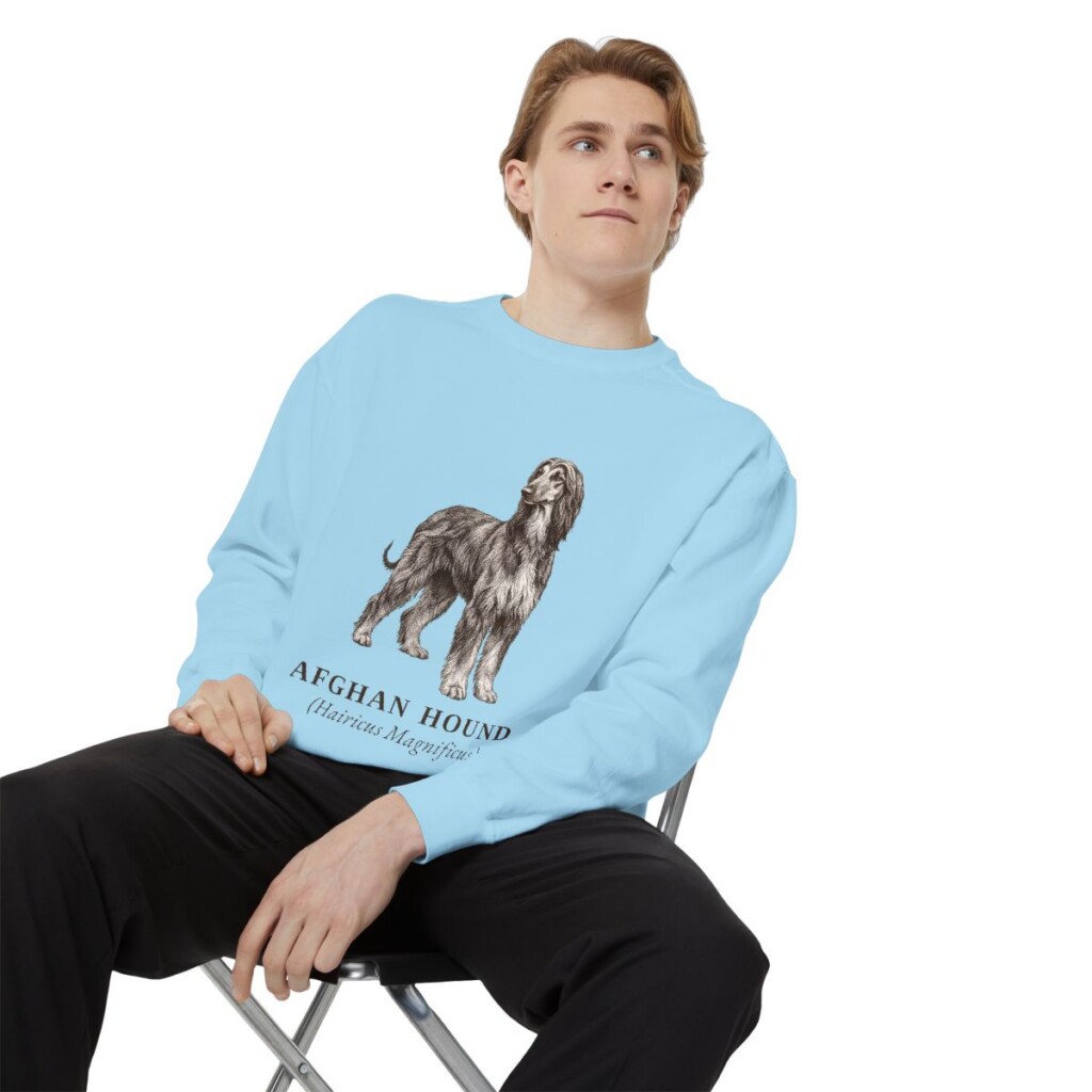 Afghan Hound Latin Sweatshirt, Chambray, person 1 context