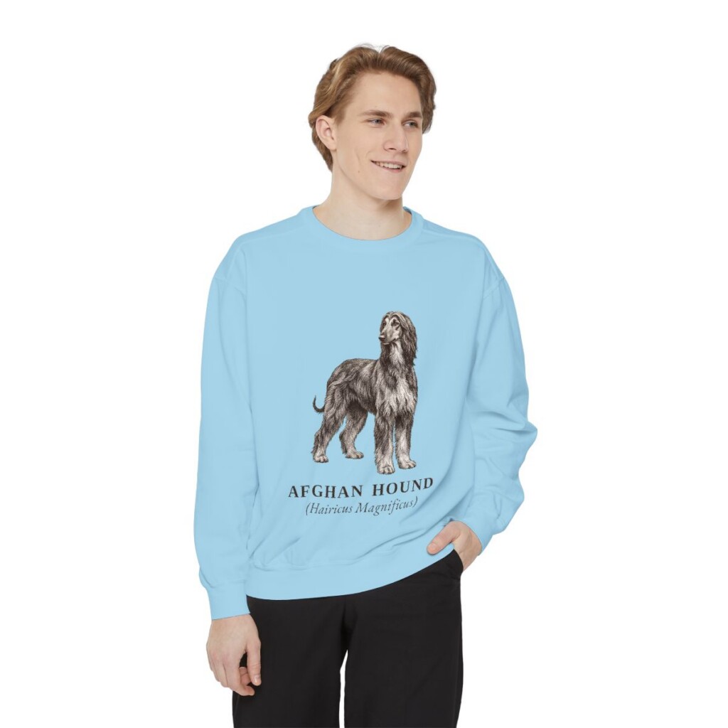 Afghan Hound Latin Sweatshirt, Chambray, person 1 front
