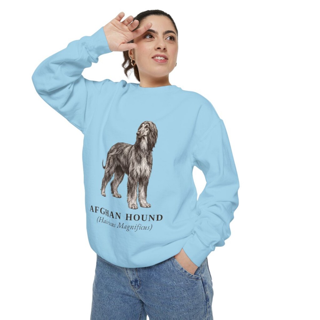 Afghan Hound Latin Sweatshirt, Chambray, person 2 context