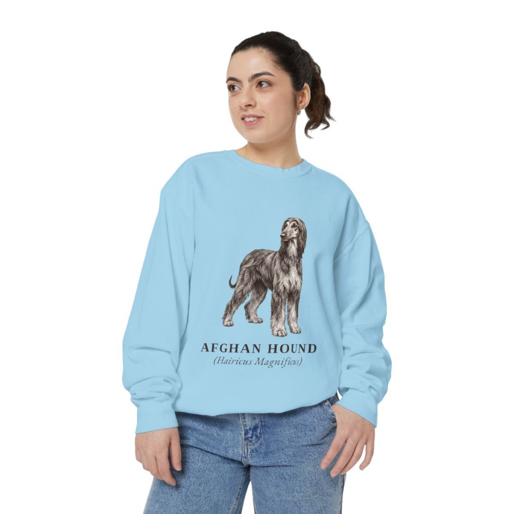 Afghan Hound Latin Sweatshirt, Chambray, person 2 front