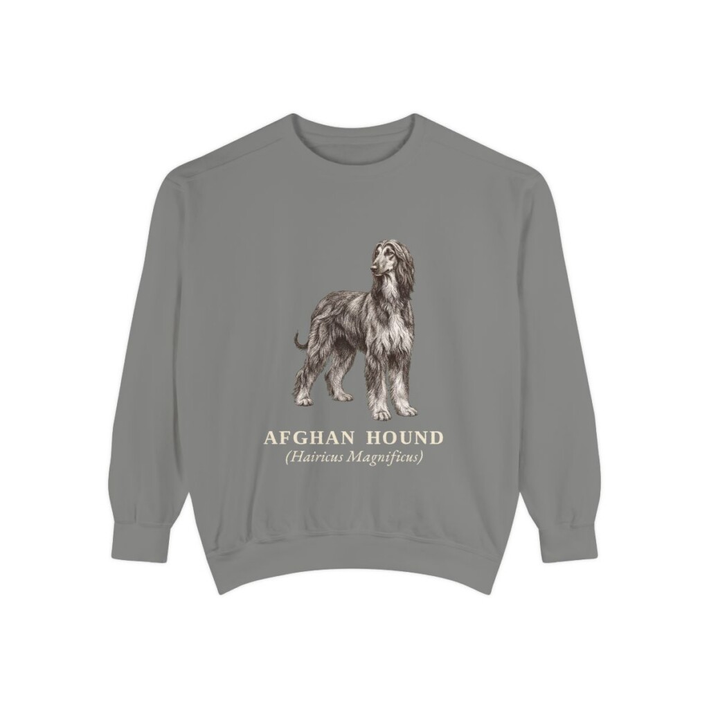 Afghan Hound Latin Sweatshirt, Grey, front view