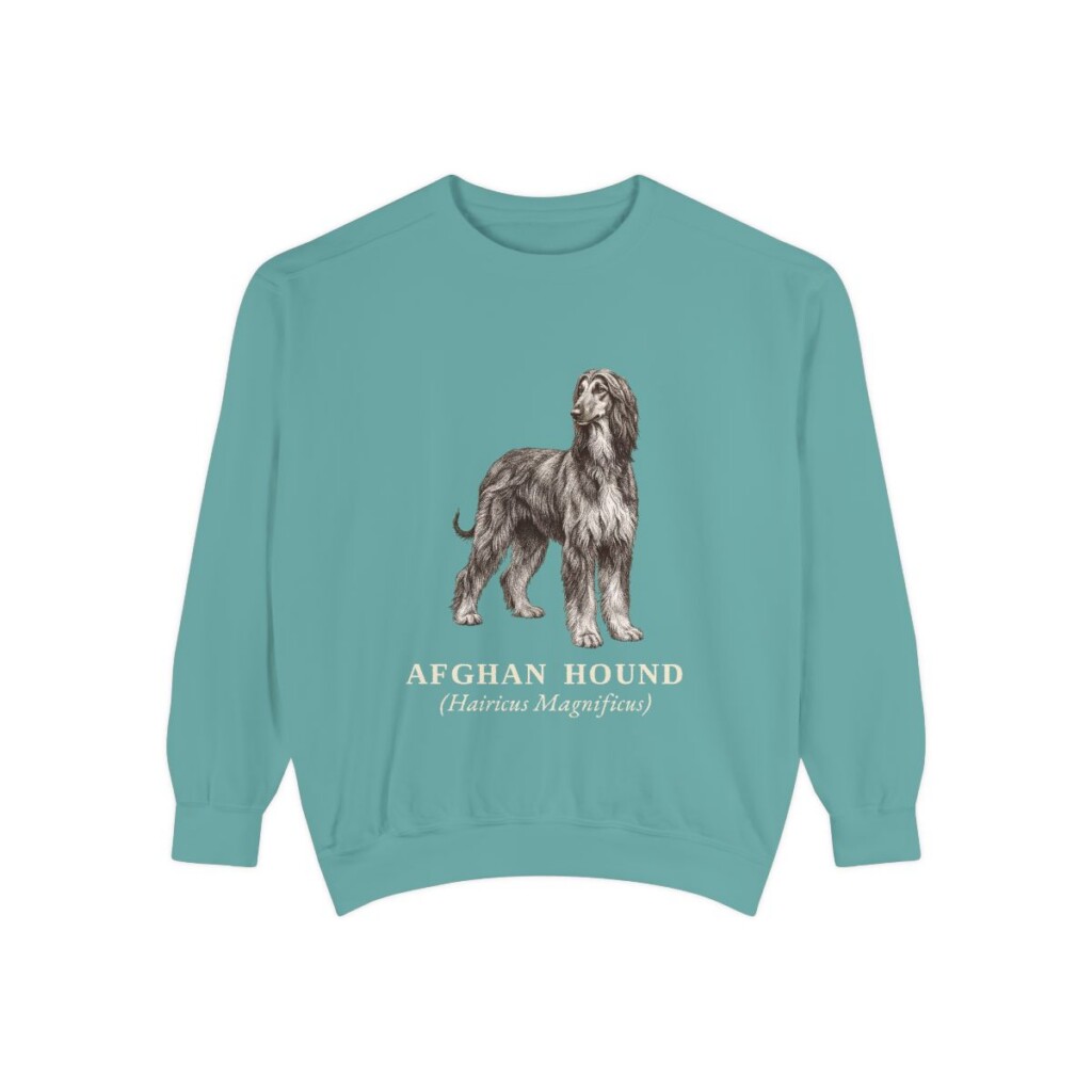 Afghan Hound Latin Sweatshirt, Seafoam, front view