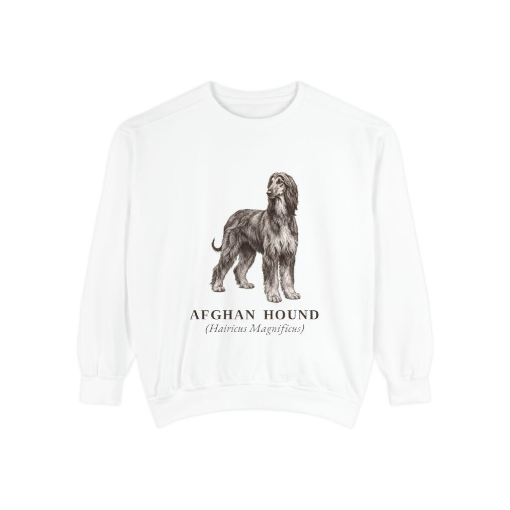 Afghan Hound Latin Sweatshirt, White, front view