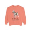 Airedale Terrier Humor Sweatshirt, Terracotta, front view