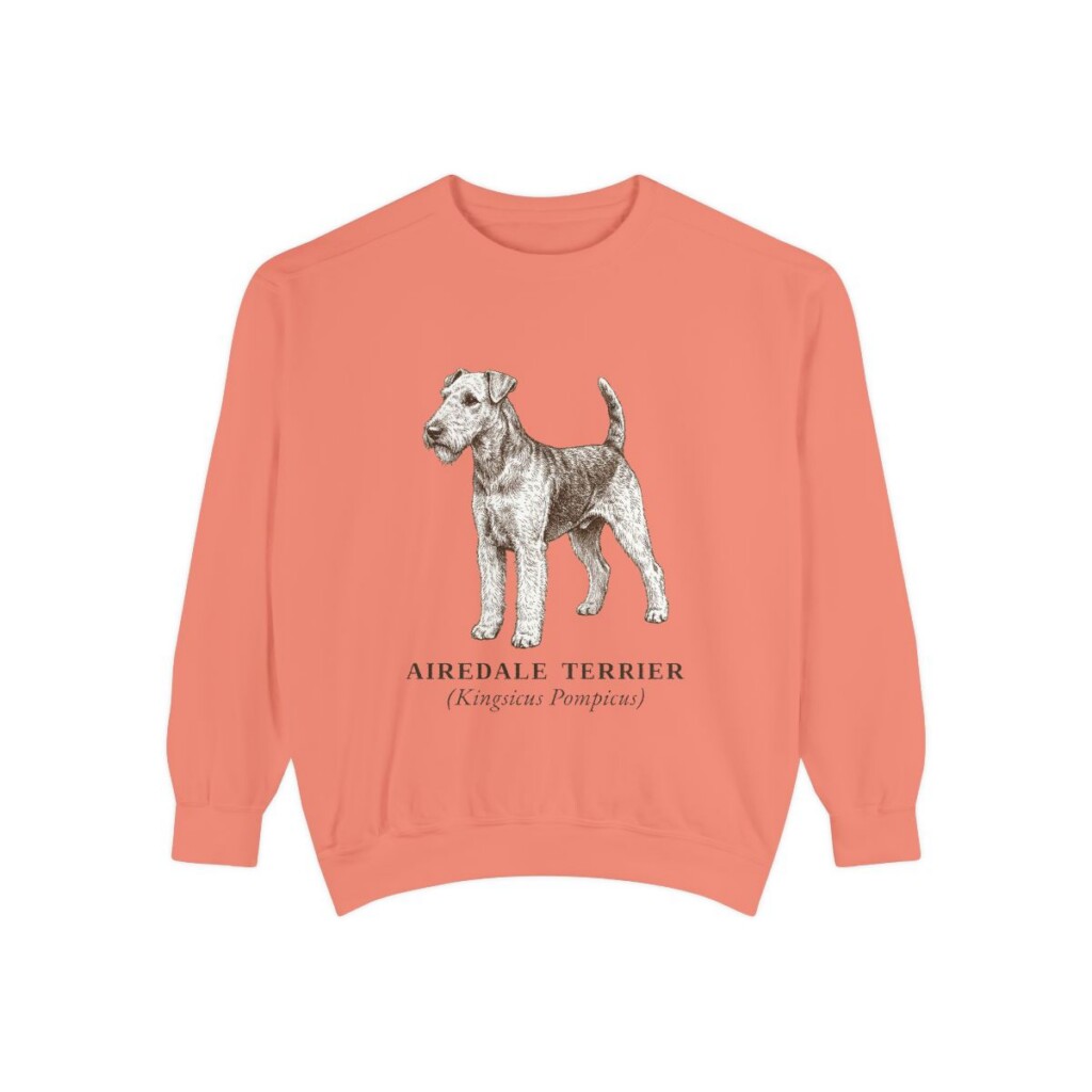 airedale-terrier-sweatshirt-latin-terracotta Airedale Terrier Latin Sweatshirt, Terracotta, front view