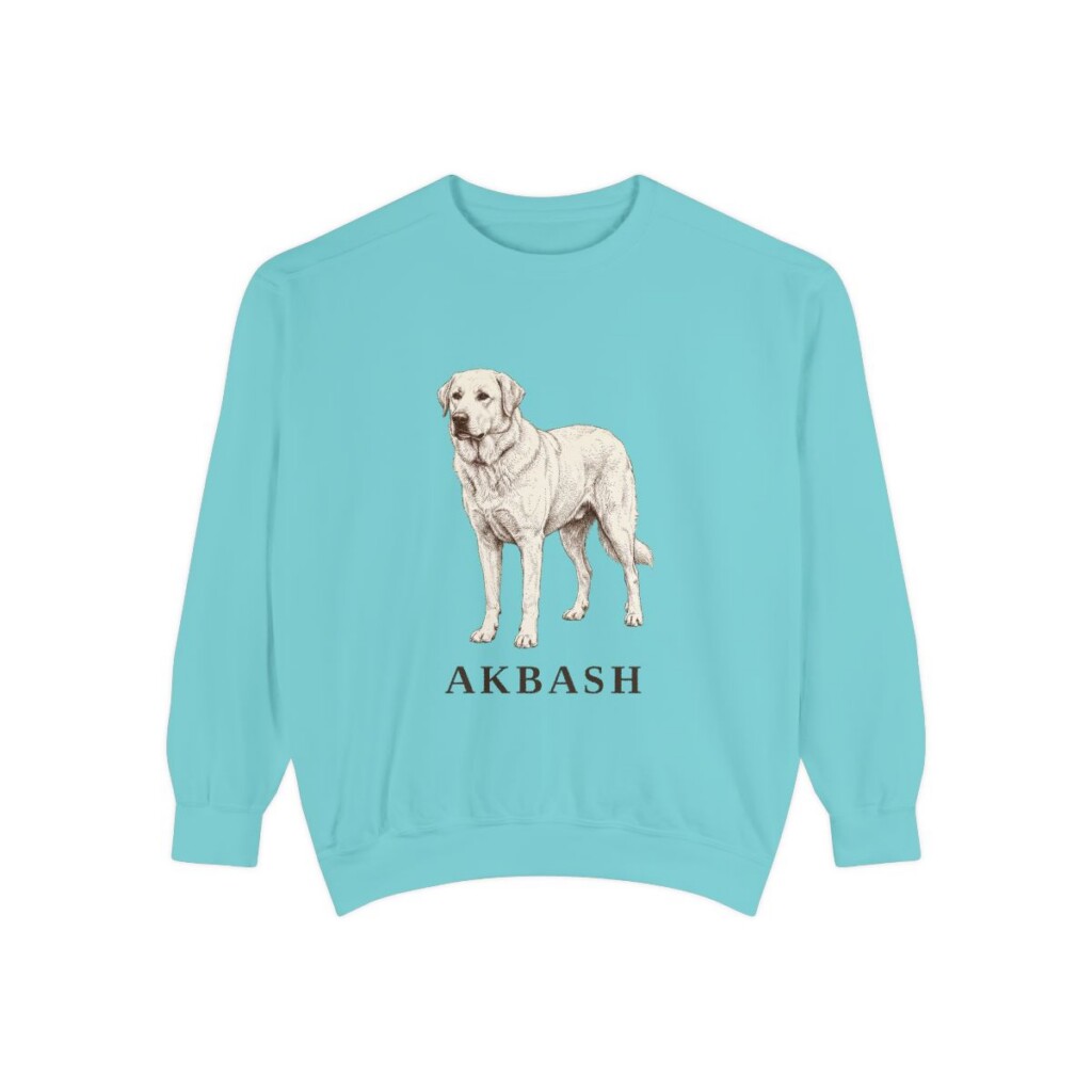 Akbash Sweatshirt, Chalky Mint, front view