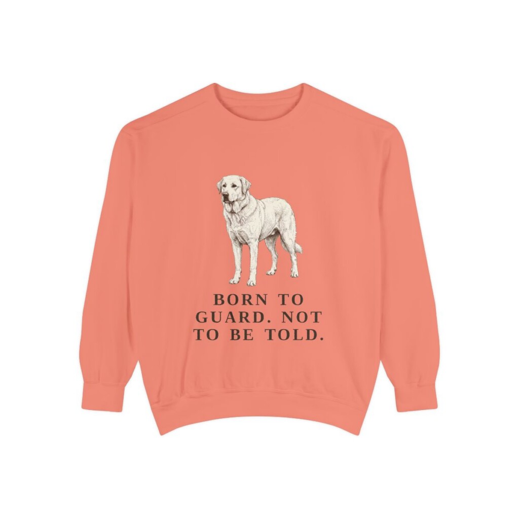 Akbash Humor Sweatshirt, Terracotta, front view