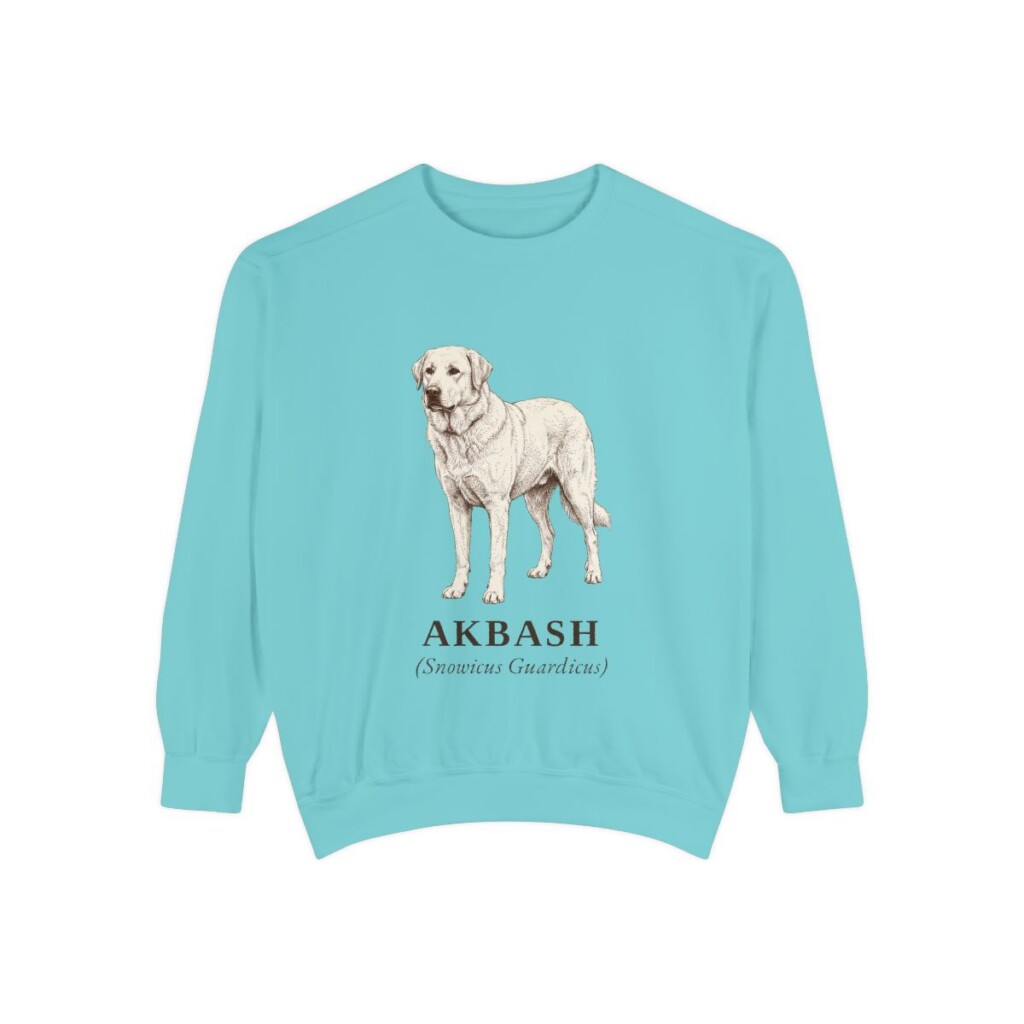 Akbash Latin Sweatshirt, Chalky Mint, front view