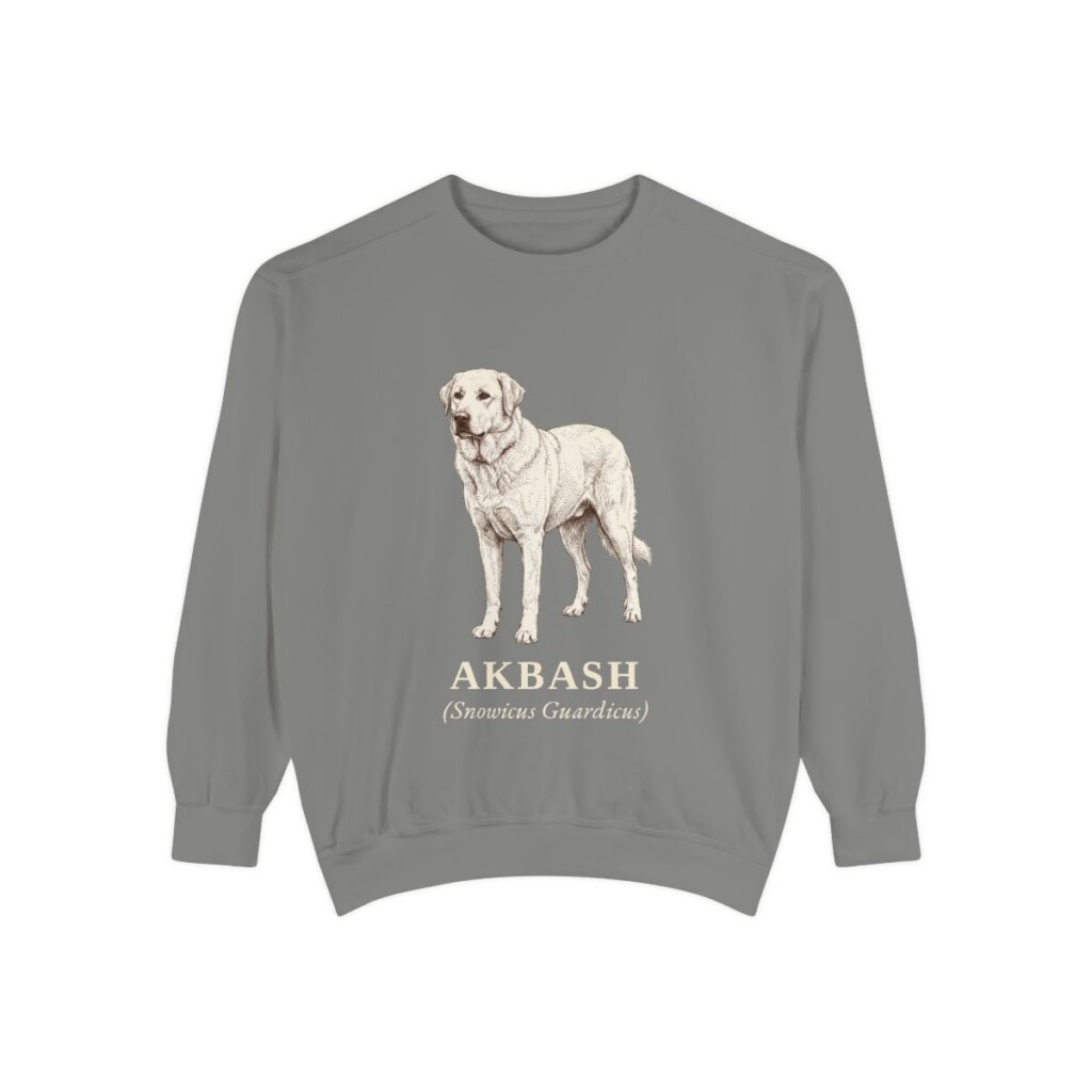 Akbash Latin Sweatshirt, Grey, front view