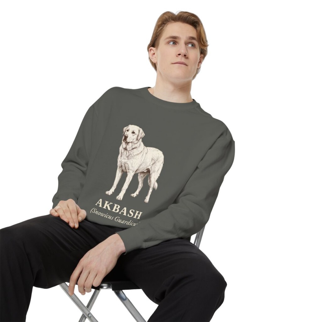 Akbash Latin Sweatshirt, Pepper, person 1 context