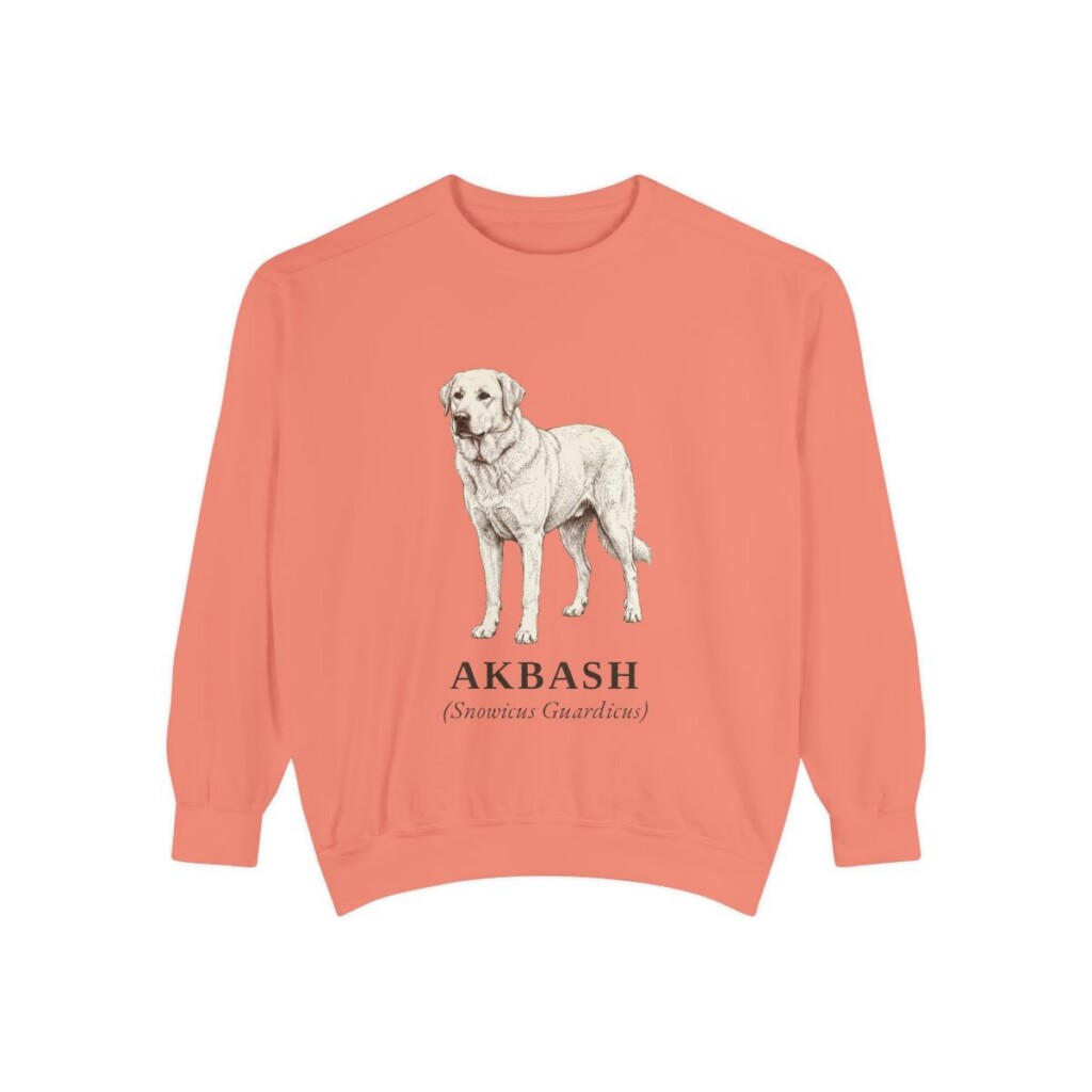 Akbash Latin Sweatshirt, Terracotta, front view