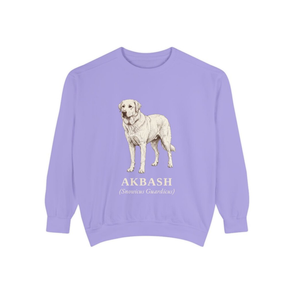 Akbash Latin Sweatshirt, Violet, front view