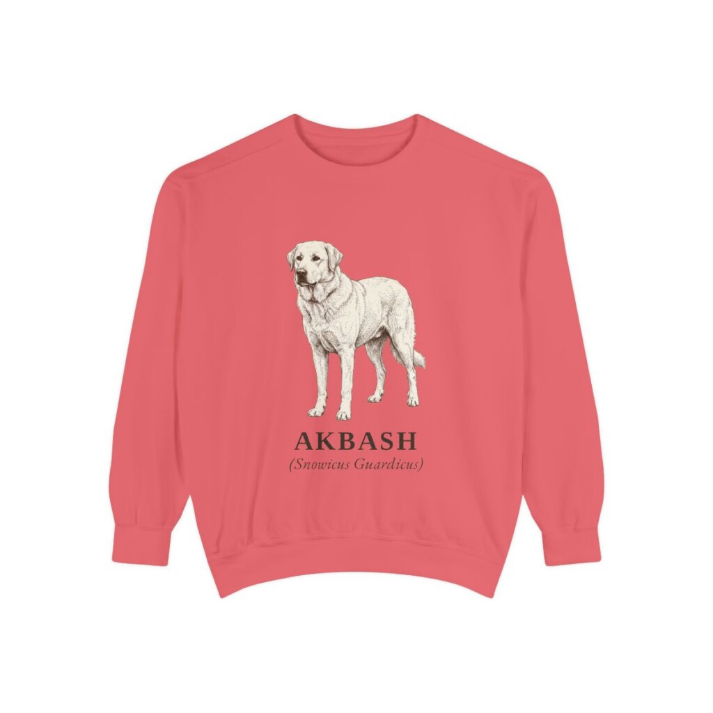 Akbash Latin Sweatshirt, Watermelon, front view
