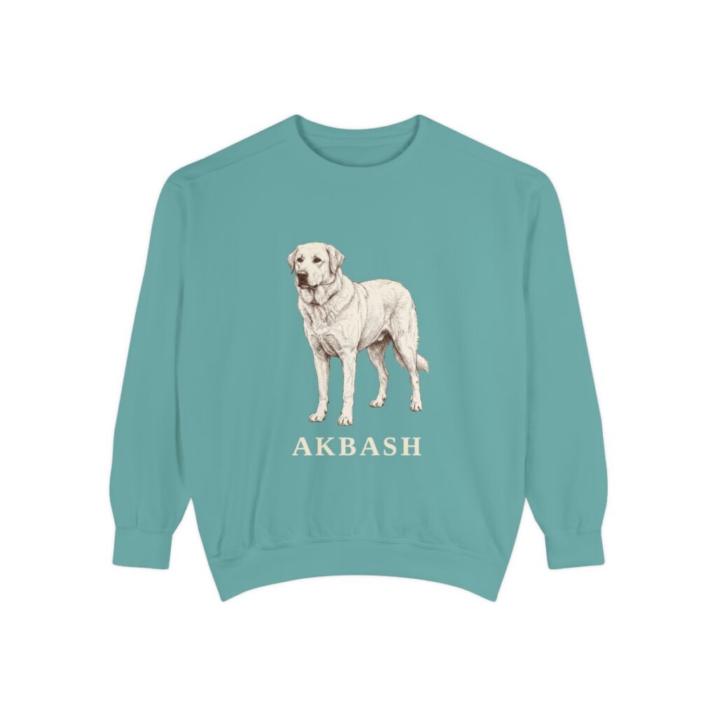 Akbash Sweatshirt, Seafoam, front view