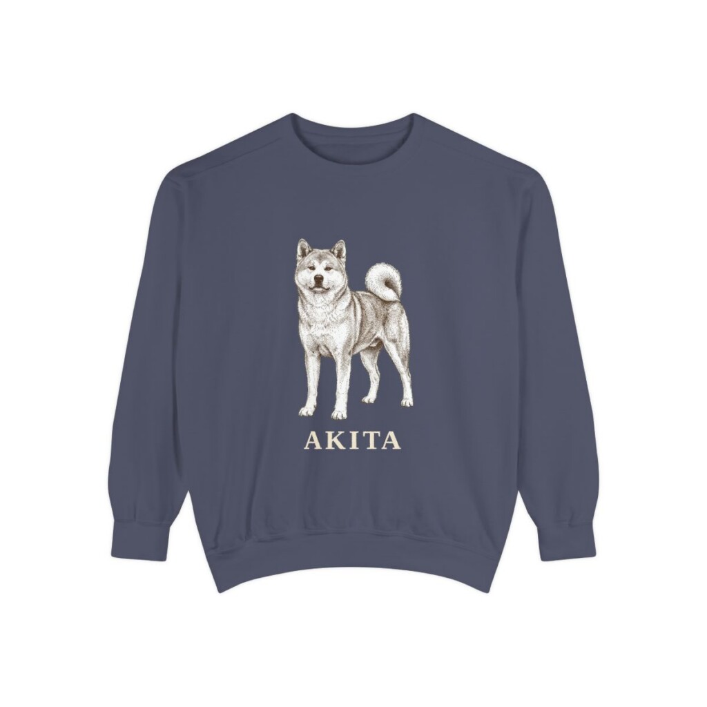 akita-sweatshirt-denim Akita Sweatshirt, Denim, front view