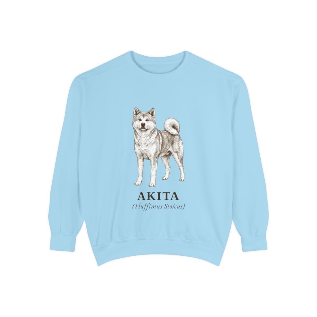 akita-sweatshirt-latin-chambray Akita Latin Sweatshirt, Chambray, front view