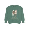 Alaskan Klee Kai Humor Sweatshirt, Light Green, front view