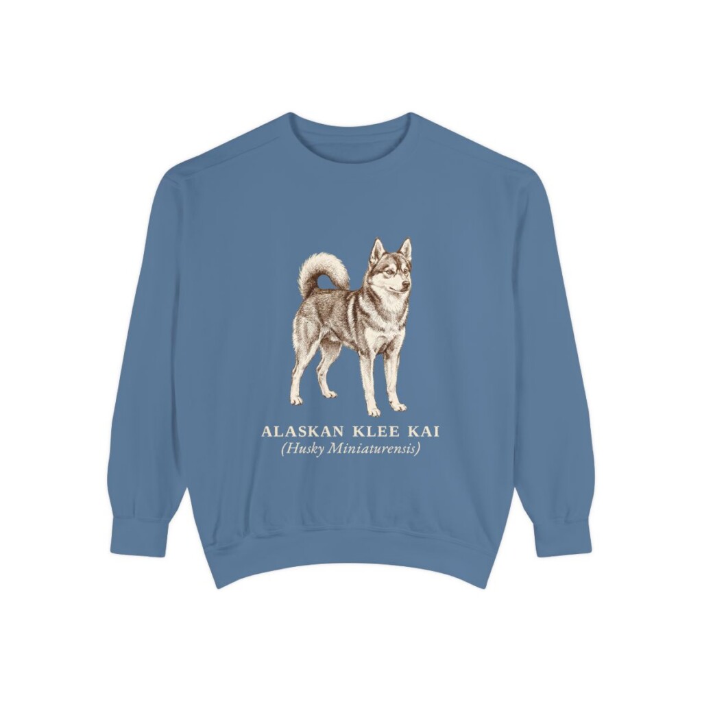 Alaskan Klee Kai Latin Sweatshirt, Blue Jean, front view