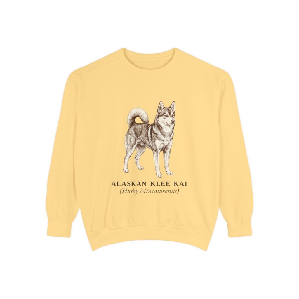 Alaskan Klee Kai Latin Sweatshirt, Butter, front view