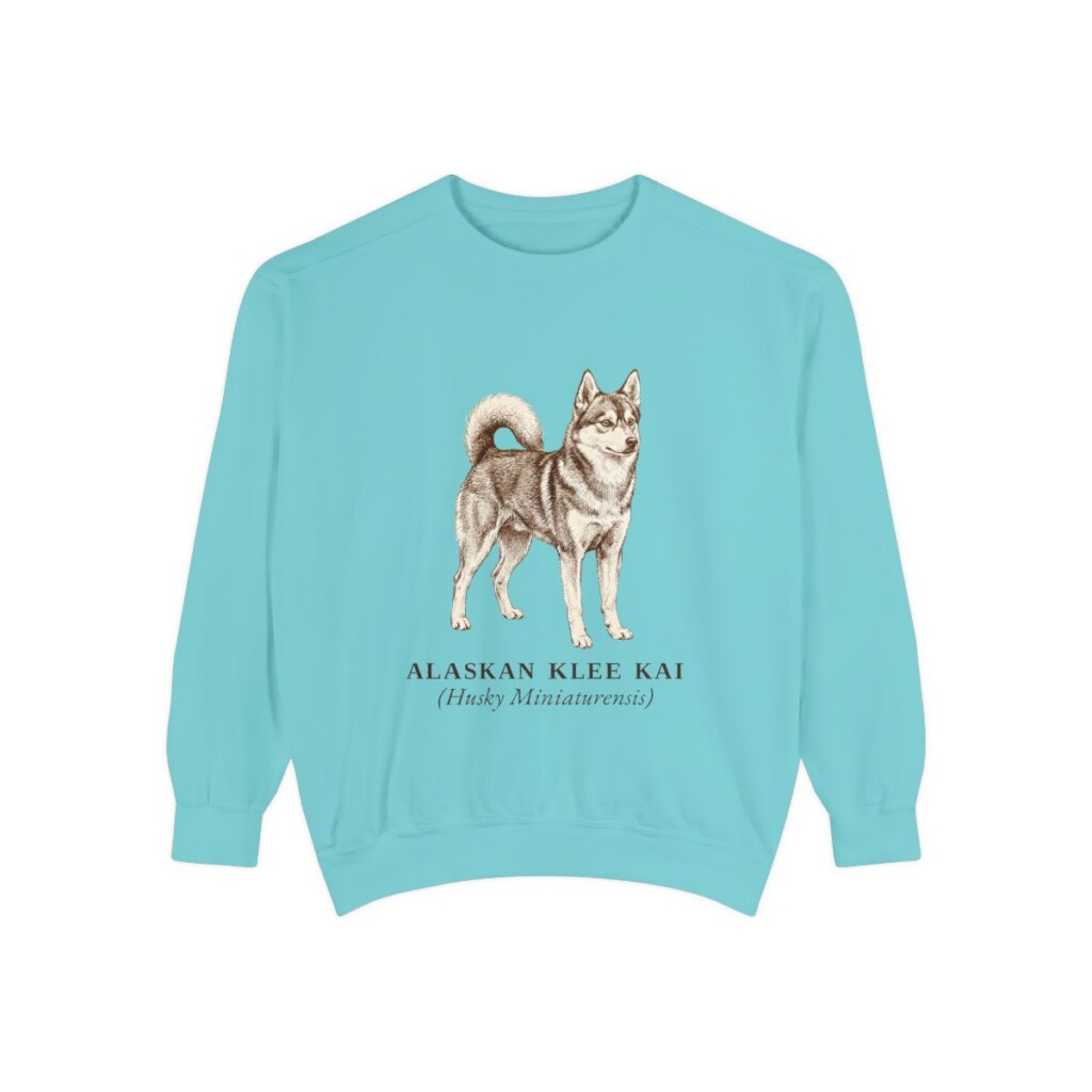 Alaskan Klee Kai Latin Sweatshirt, Chalky Mint, front view