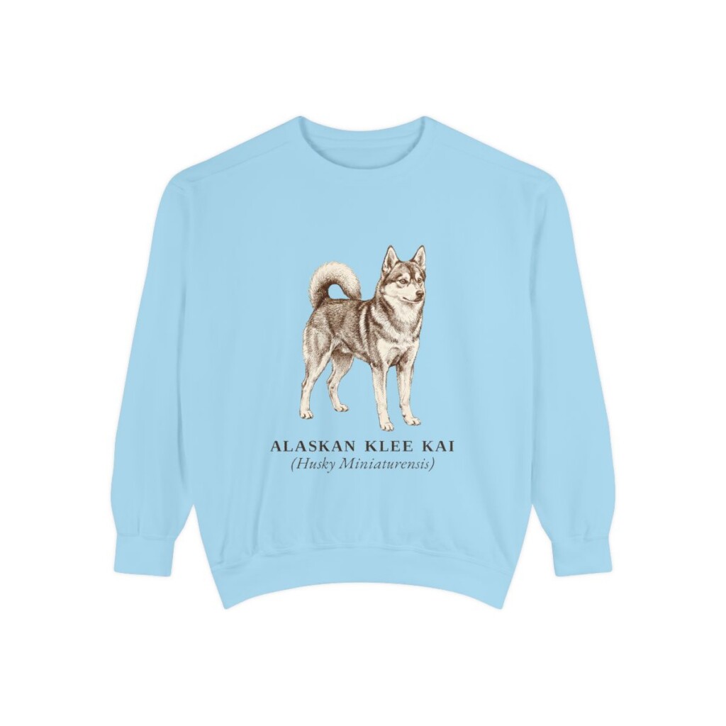 Alaskan Klee Kai Latin Sweatshirt, Chambray, front view