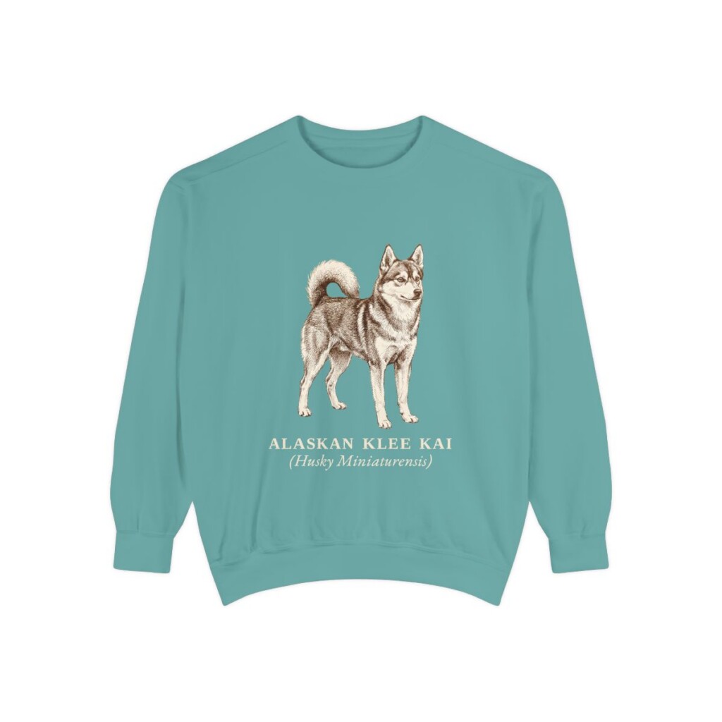 Alaskan Klee Kai Latin Sweatshirt, Seafoam, front view