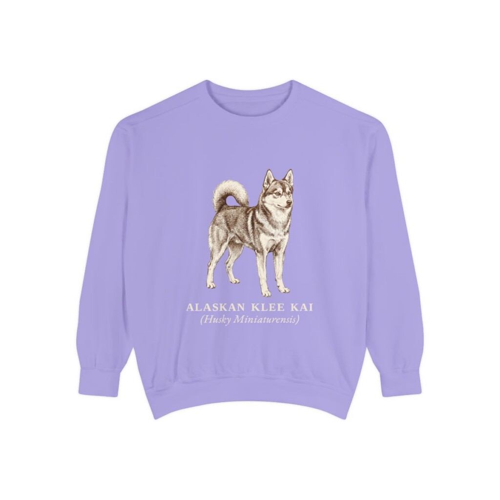 Alaskan Klee Kai Latin Sweatshirt, Violet, front view