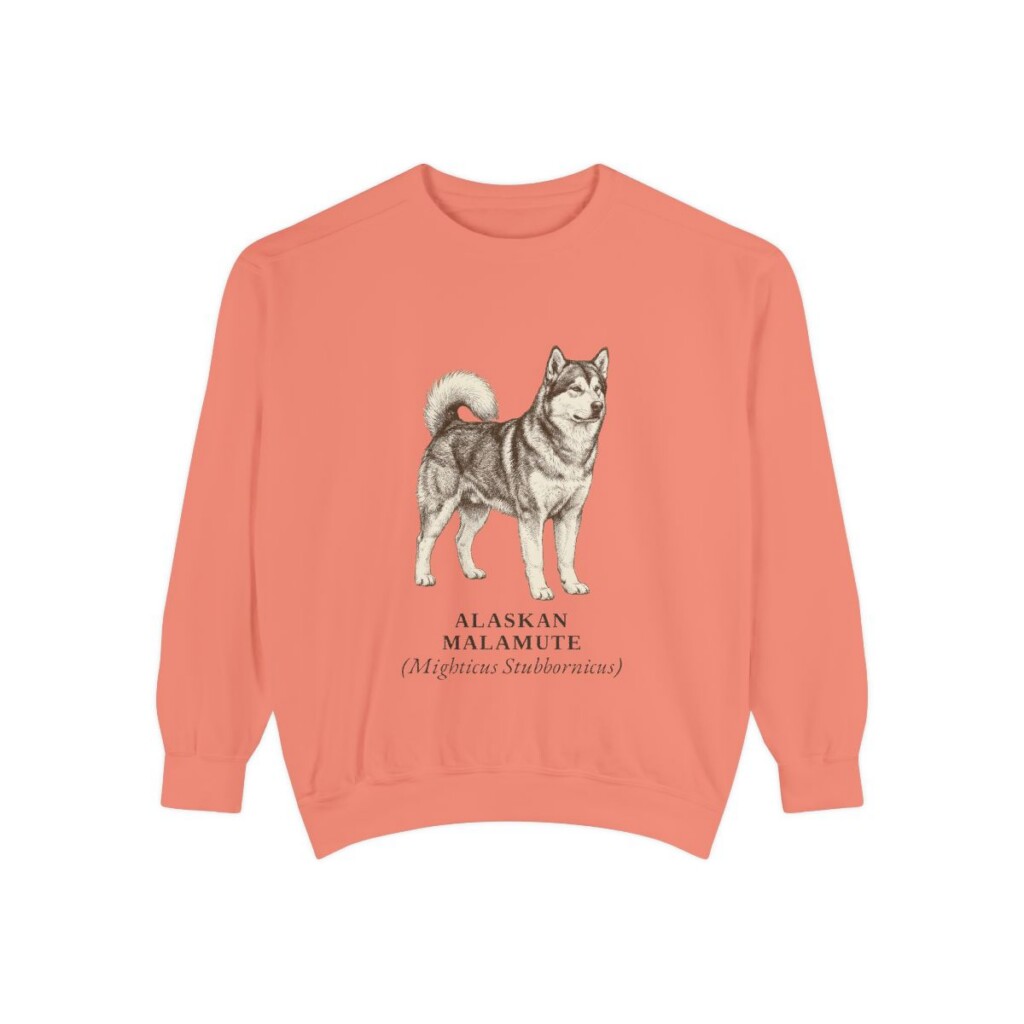 Alaskan Malamute Latin Sweatshirt, Terracotta, front view