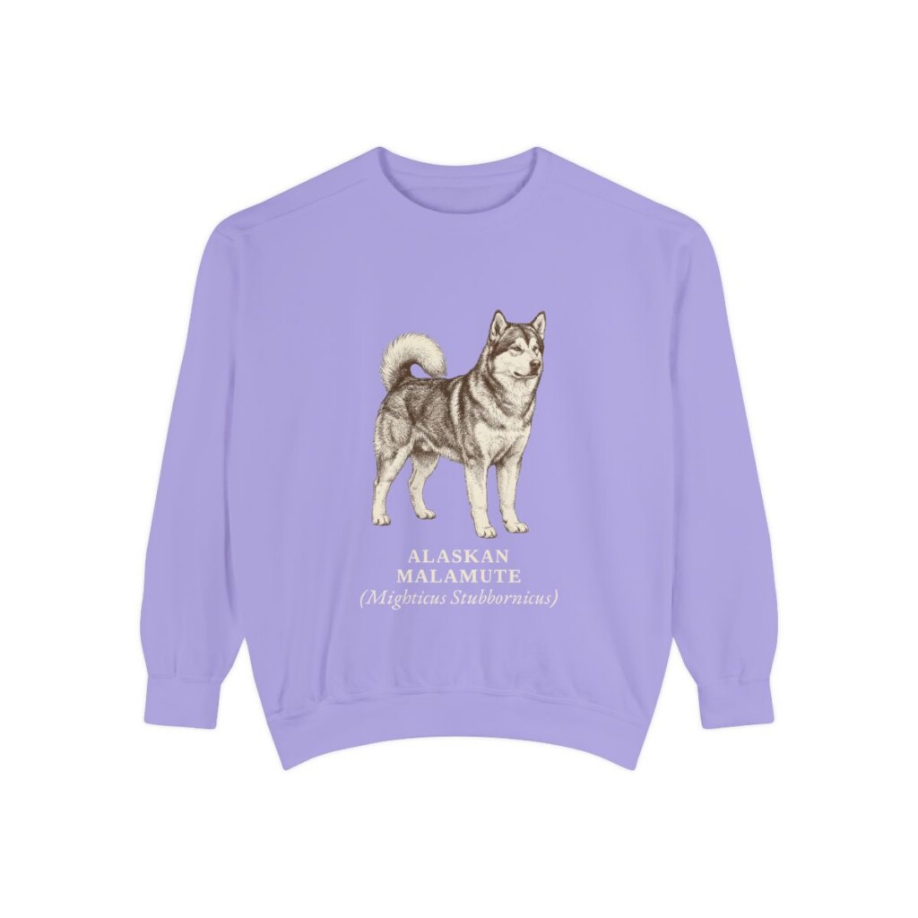 Alaskan Malamute Latin Sweatshirt, Violet, front view