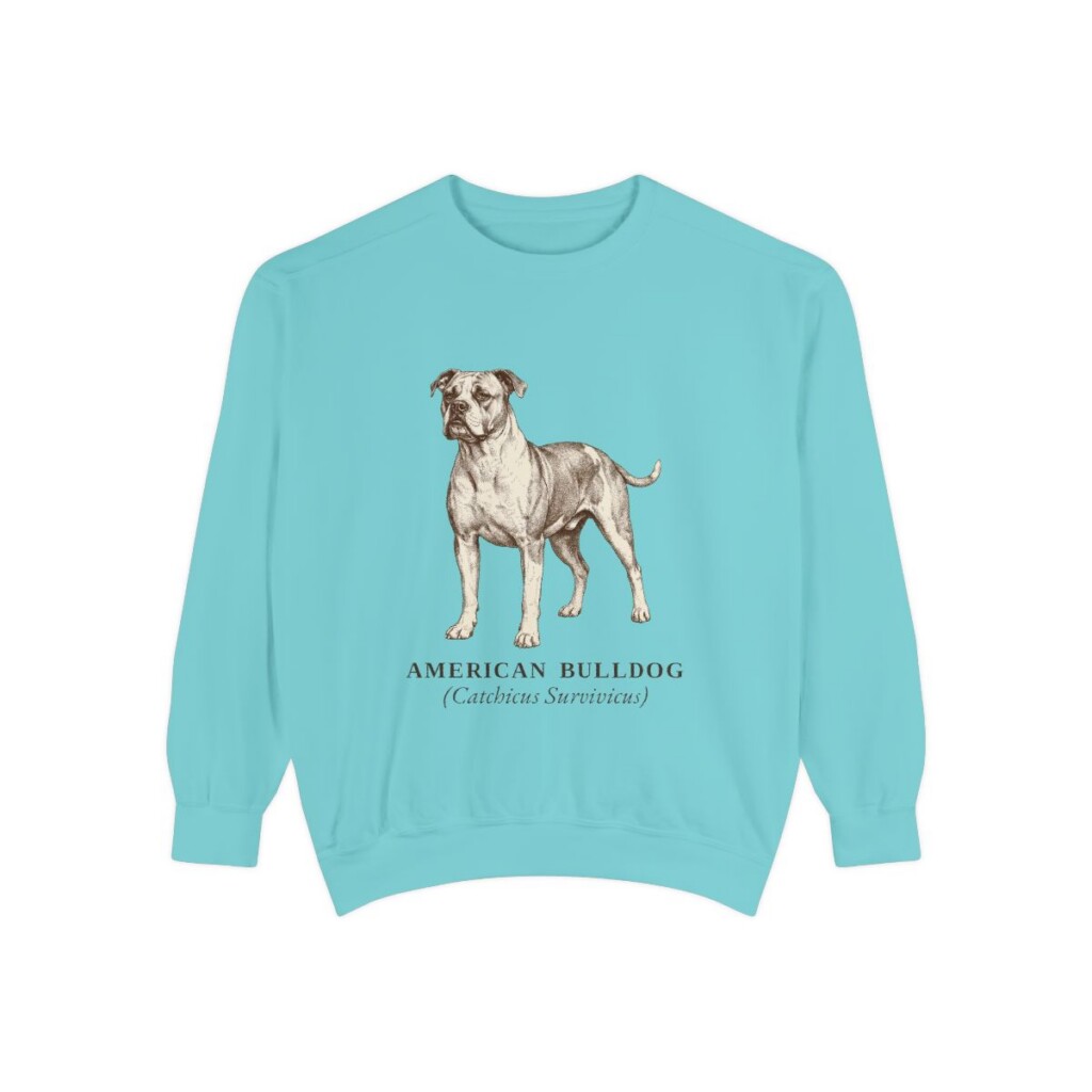 american-bulldog-sweatshirt-latin-chalky-mint American Bulldog Latin Sweatshirt, Chalky Mint, front view