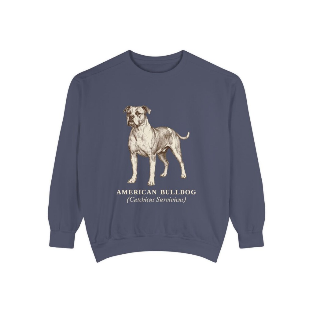 american-bulldog-sweatshirt-latin-denim American Bulldog Latin Sweatshirt, Denim, front view