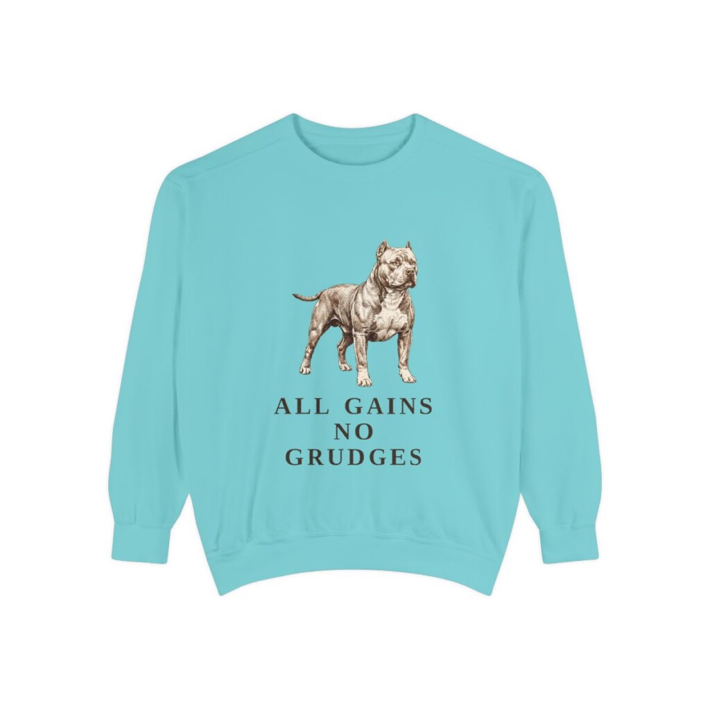 american-bully-sweatshirt-humor-chalky-mint-1 American Bully Humor Sweatshirt, Chalky Mint, front view