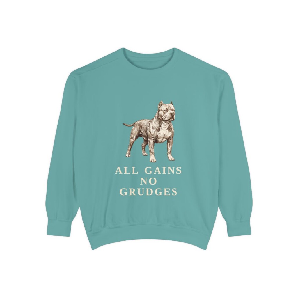 american-bully-sweatshirt-humor-seafoam-1 American Bully Humor Sweatshirt, Seafoam, front view