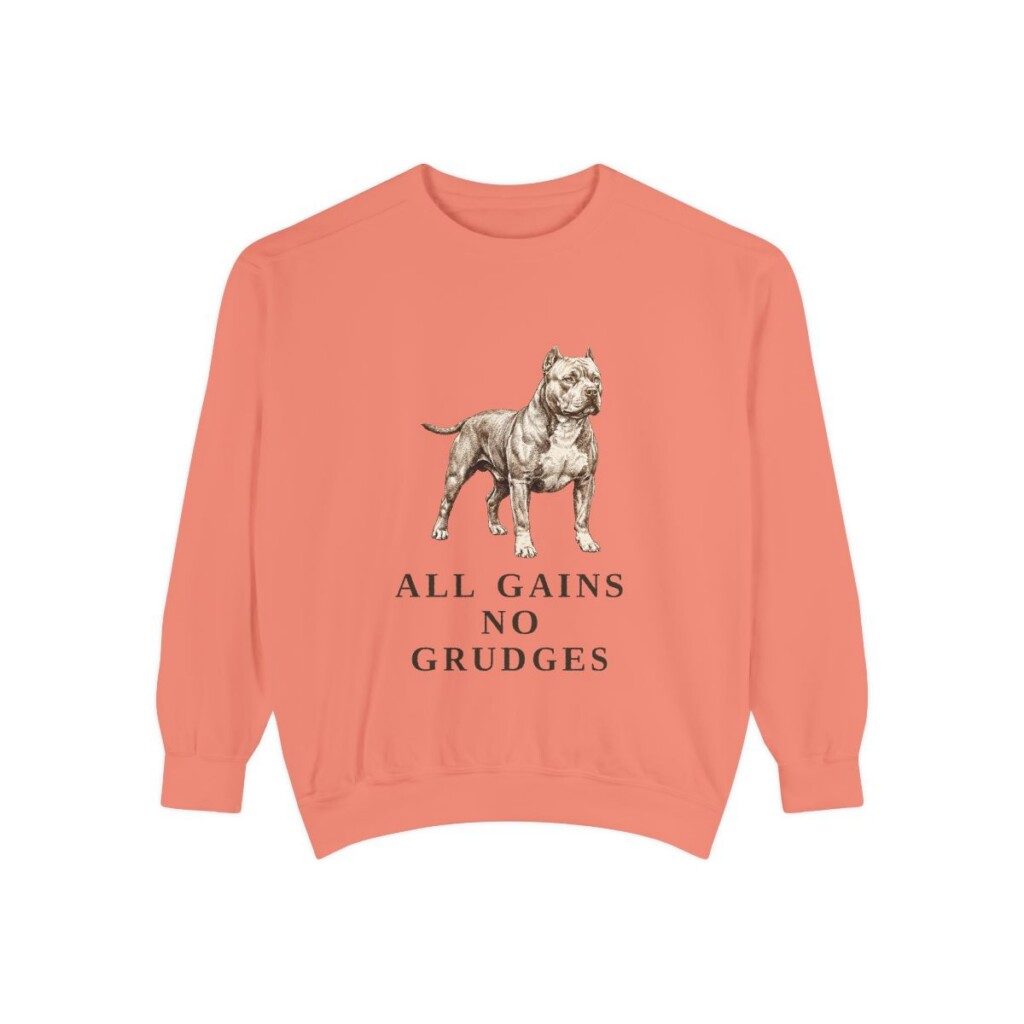 american-bully-sweatshirt-humor-terracotta-1 American Bully Humor Sweatshirt, Terracotta, front view