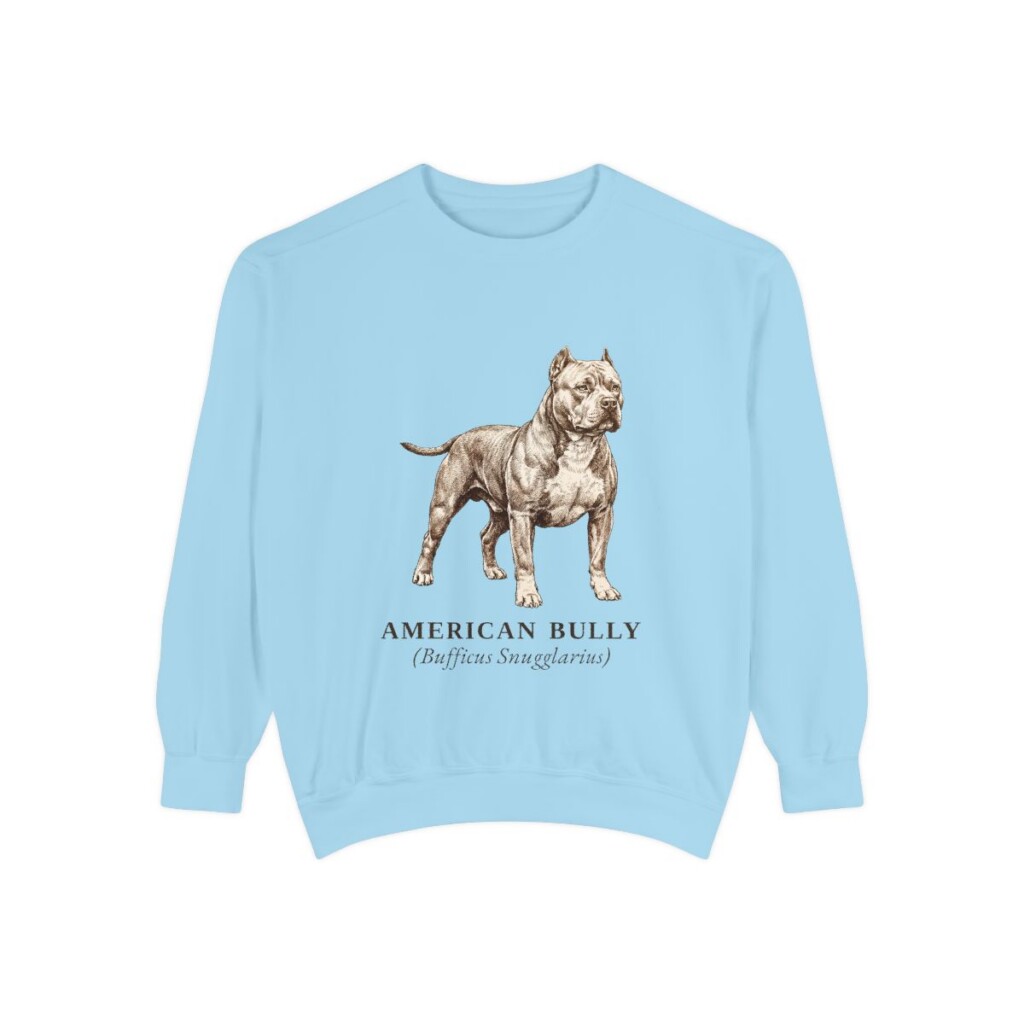 American Bully Latin Sweatshirt, Chambray, front view