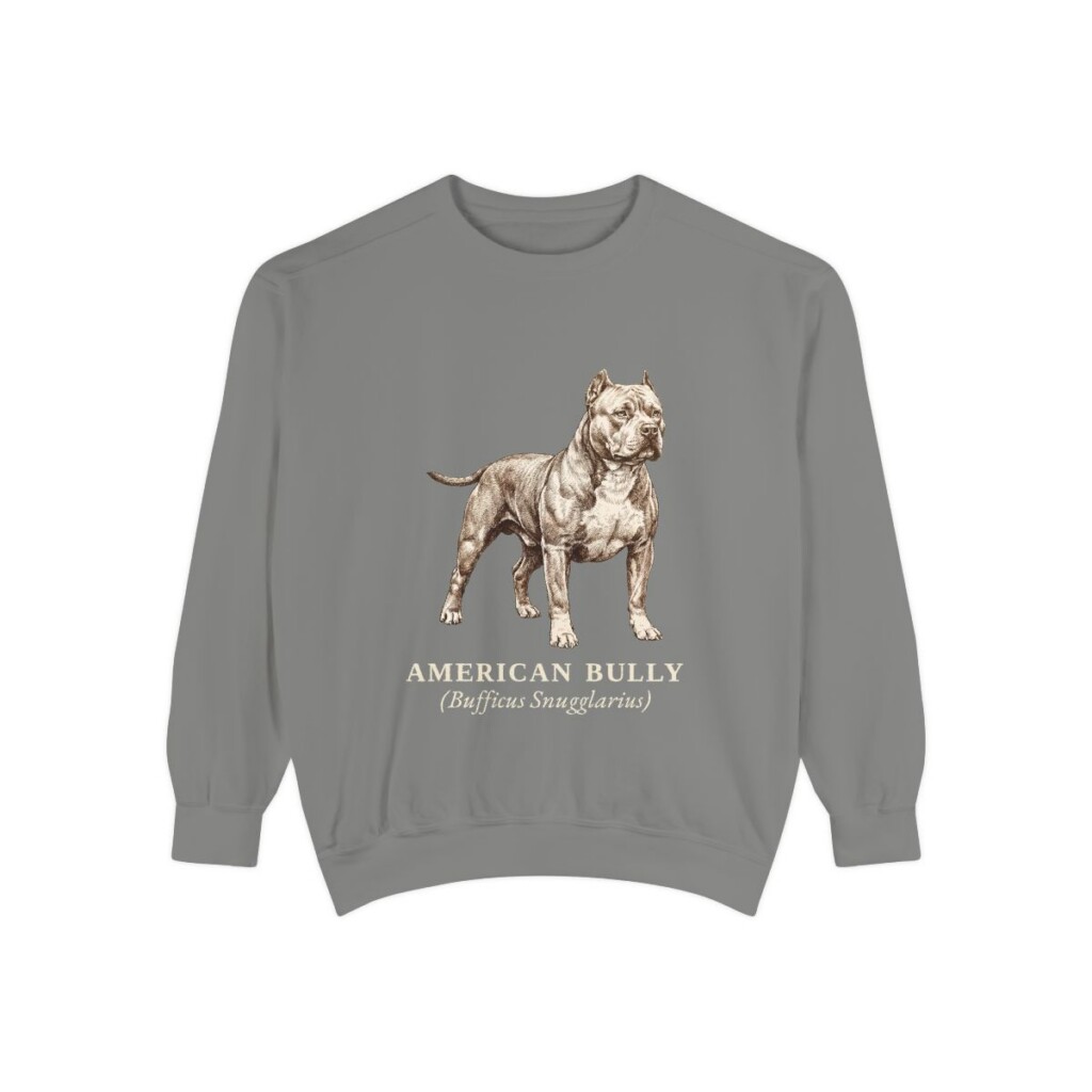 American Bully Latin Sweatshirt, Grey, front view