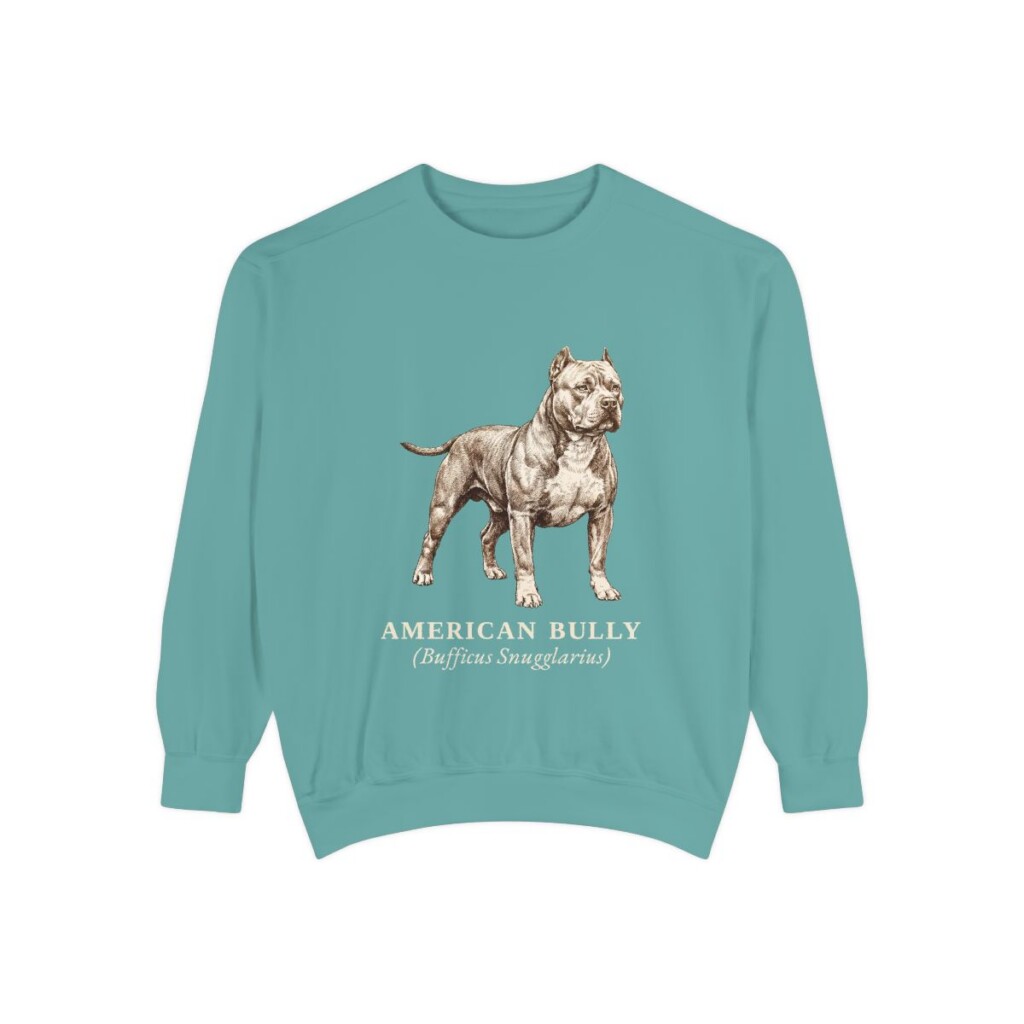 American Bully Latin Sweatshirt, Seafoam, front view