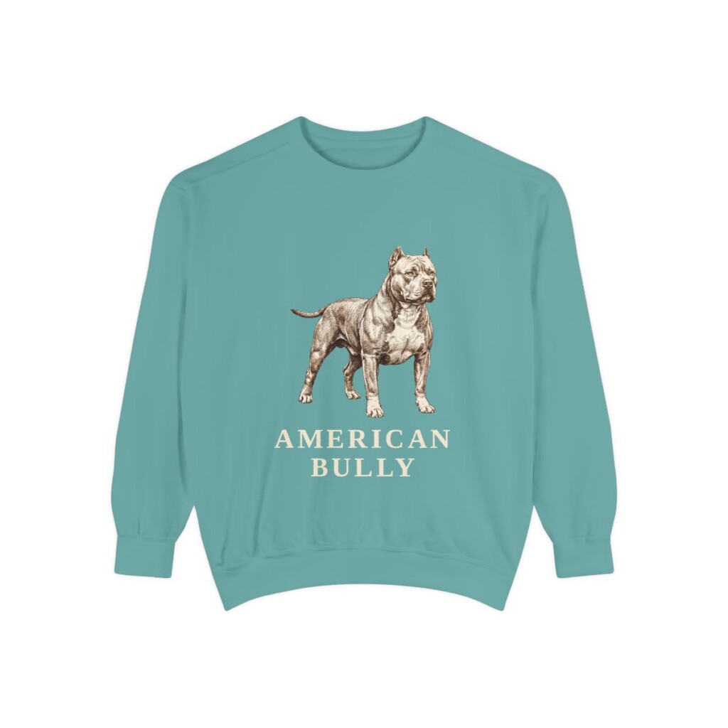 American Bully Sweatshirt, Seafoam, front view