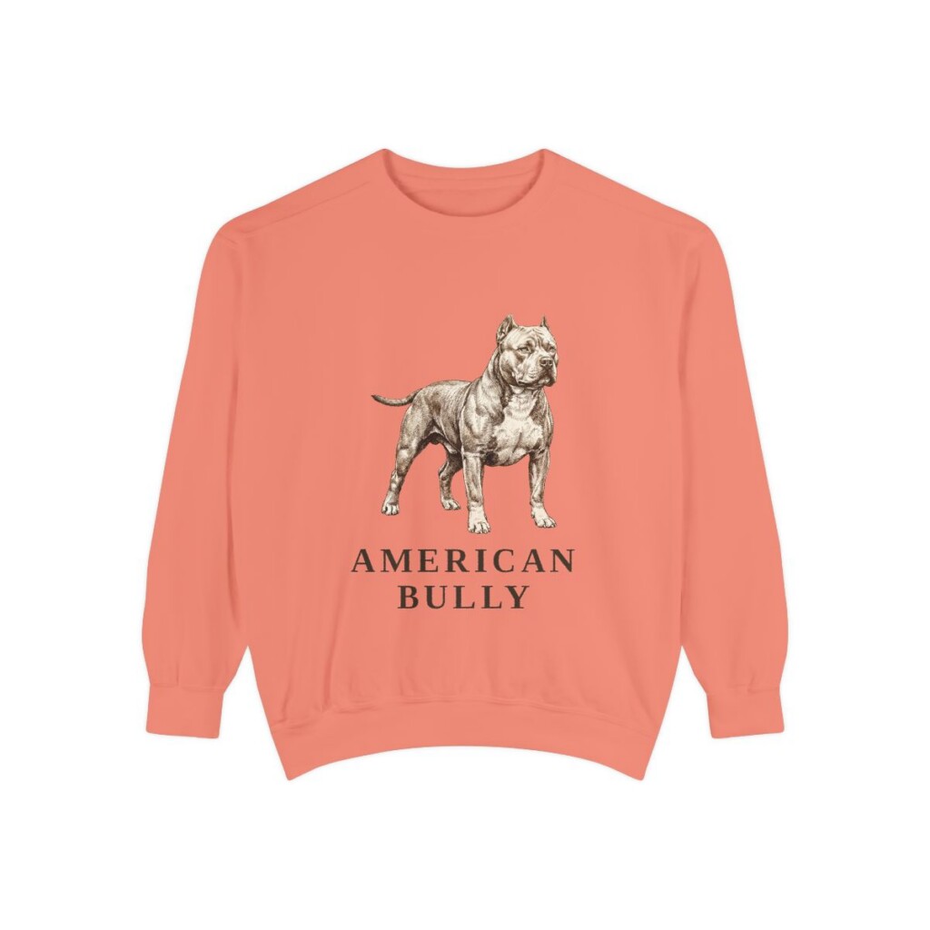 American Bully Sweatshirt, Terracotta, front view