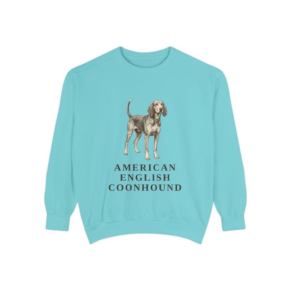 American English Coonhound Sweatshirt, Chalky Mint, front view