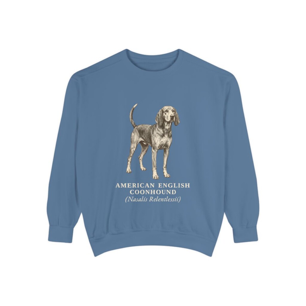 American English Coonhound Latin Sweatshirt, Blue Jean, front view