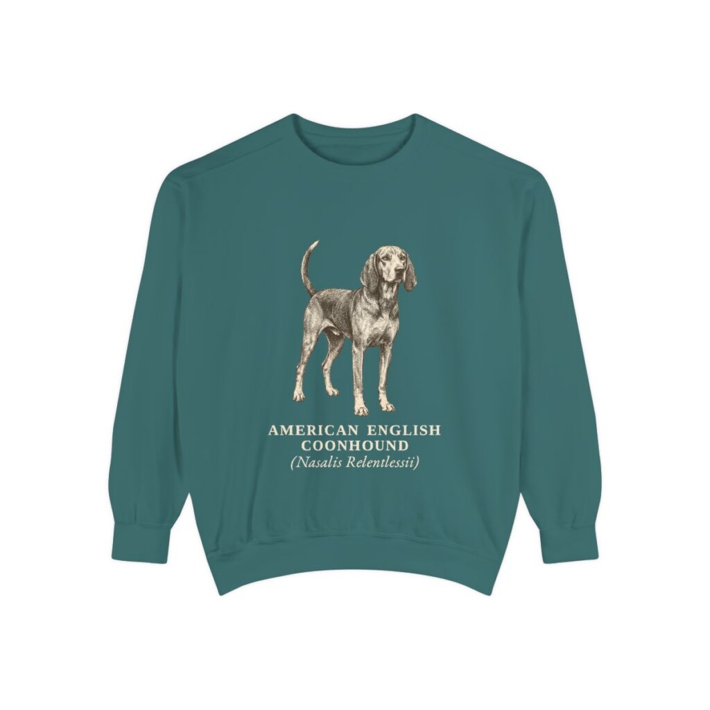 American English Coonhound Latin Sweatshirt, Blue Spruce, front view