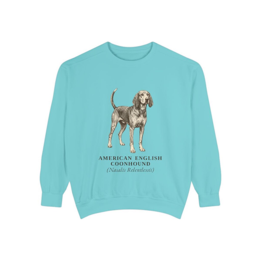 American English Coonhound Latin Sweatshirt, Chalky Mint, front view