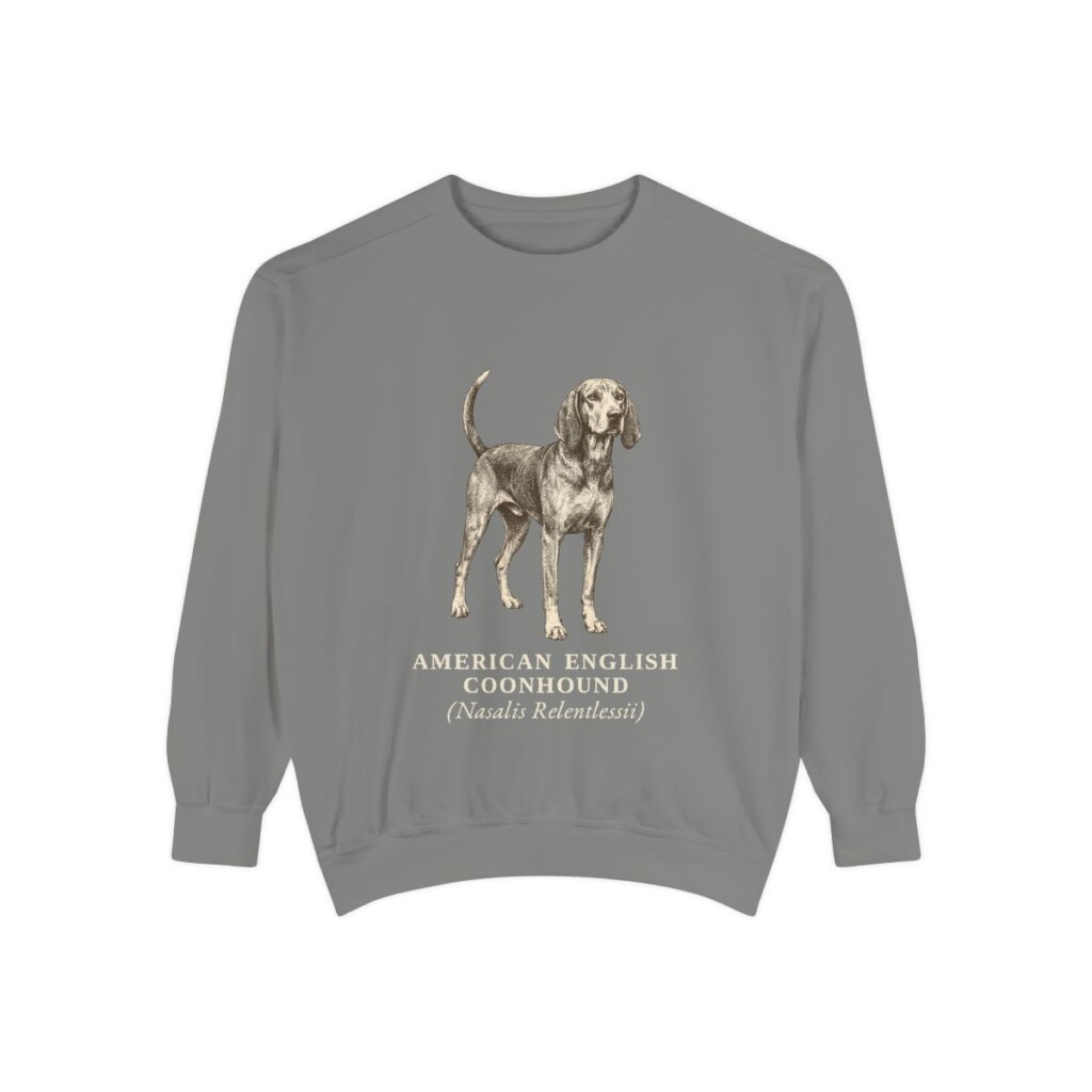 American English Coonhound Latin Sweatshirt, Grey, front view