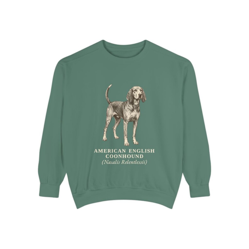 American English Coonhound Latin Sweatshirt, Light Green, front view